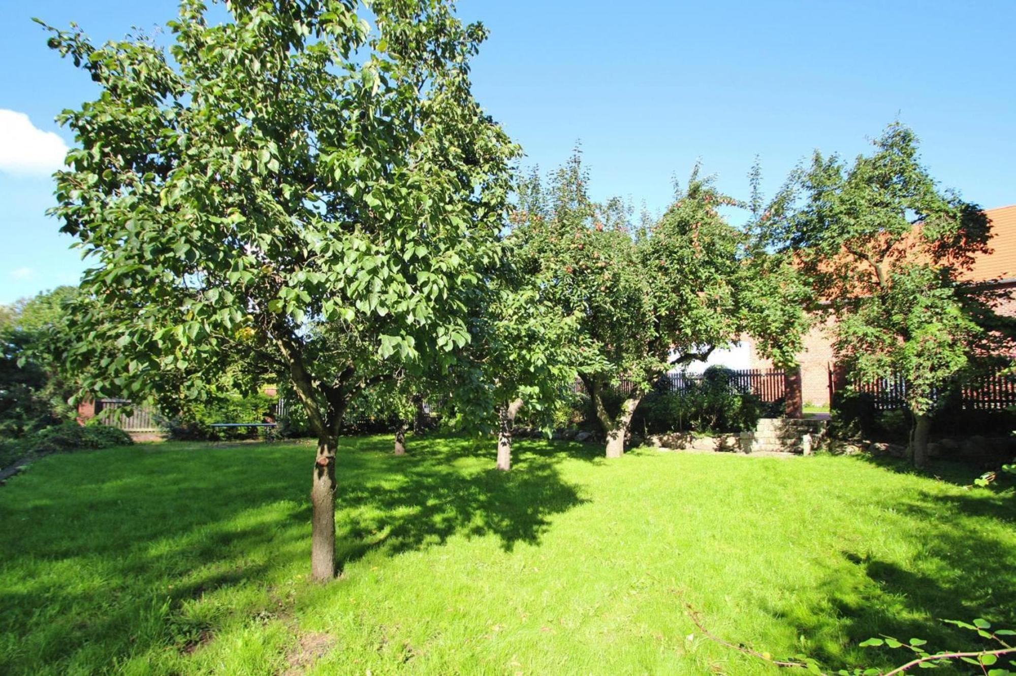 Ferienhaus Rosenhof In Lenzen Esterno foto